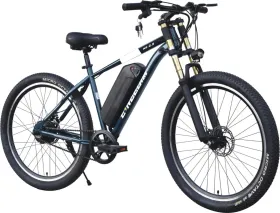 Neelam N.E 2.9 Single Speed 29T 10.4Ah Electric Cycle