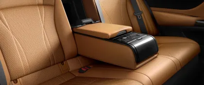 Lexus ES 300h Exquisite