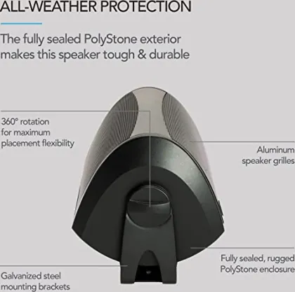 Definitive Technology AW 5500 Outdoor Speaker