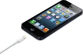 Apple Original Lightning USB Cable for Apple iPhone 5/5S MD818ZM/A