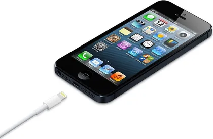 Apple Original Lightning USB Cable for Apple iPhone 5/5S MD818ZM/A
