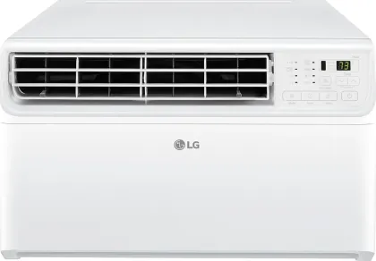 LG LW1022FVSM 10000 BTU 115V Inverter Window AC
