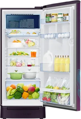 Samsung RR23C2F359R 215 L 5 Star Single Door Refrigerator