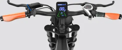 EMotorad Viper Electric Cycle