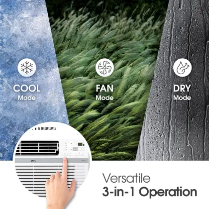 LG LW1024RD 10000 BTU 115V Window AC