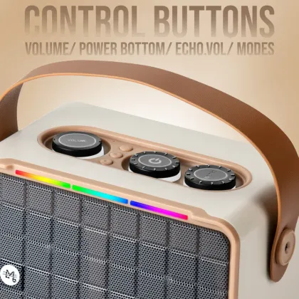 Landmark LM BT1131 20W Bluetooth Speaker