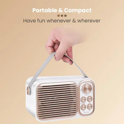 Toreto TOR-376 14W Bluetooth Speaker