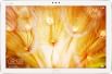 Huawei MediaPad M5 Lite (4GB RAM + 64GB)