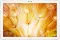 Huawei MediaPad M5 Lite (4GB RAM + 64GB)