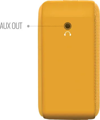 Saregama Carvaan Mini Gurbani 5W Portable Speaker