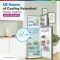 Bosch CTC39S03DI 368 L 3 Star Double Door Refrigerator