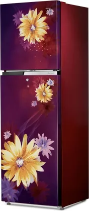 Voltas Beko RFF2953DWCF 271L 3 Star Double Door Refrigerator