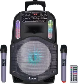 Target TT-PSG-802 60W Bluetooth Speaker