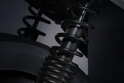 Joy e-Bike Wolf Plus