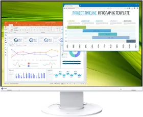 Eizo FlexScan EV2360 22.5 inch WUXGA Monitor