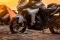 Zontes 350X