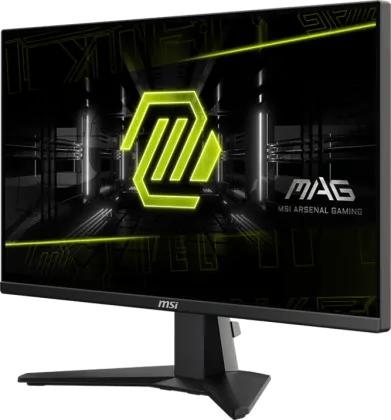 MSI MAG 255F E20 24.5 Inch Full HD Gaming Monitor