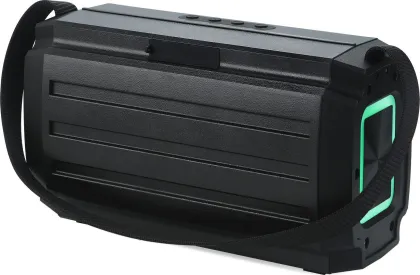 MZ M421SP 60W Bluetooth Speaker