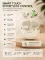 Zusix Halo True Wireless Earbuds
